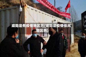 咸阳是有疫情地区吗(咸阳是疫情低风险区吗)