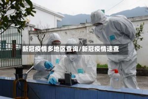 新冠疫情多地区查询/新冠疫情速查