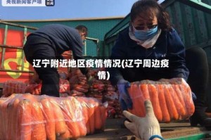 辽宁附近地区疫情情况(辽宁周边疫情)