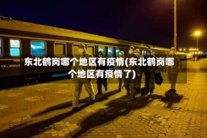 东北鹤岗哪个地区有疫情(东北鹤岗哪个地区有疫情了)
