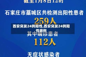 西安突发24例阳性,西安突发24例阳性病例