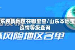 山东疫情地区在哪里查/山东本地宝疫情等级查询