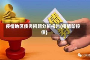 疫情地区债务问题分析报告(疫情防控债)