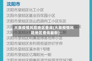 大良疫情风险地区查询(大良疫情风险地区查询最新)