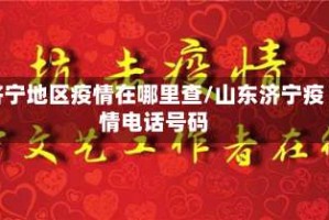 济宁地区疫情在哪里查/山东济宁疫情电话号码