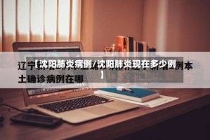【沈阳肺炎病例/沈阳肺炎现在多少例】