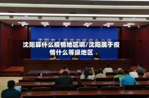 沈阳算什么疫情地区啊/沈阳属于疫情什么等级地区