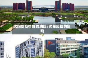 沈阳受疫情影响地区/沈阳疫情的影响