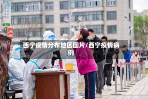 西宁疫情分布地区图片/西宁疫情病例