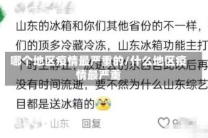 哪个地区疫情最严重的/什么地区疫情最严重