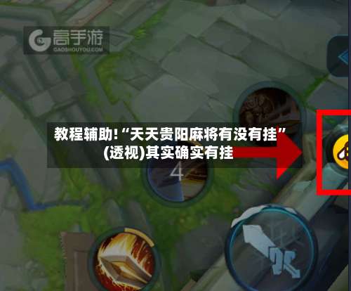 教程辅助!“天天贵阳麻将有没有挂	”(透视)其实确实有挂-第2张图片