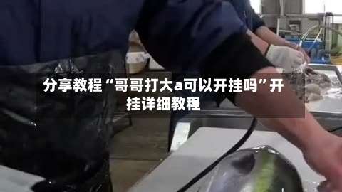 分享教程“哥哥打大a可以开挂吗	”开挂详细教程-第1张图片