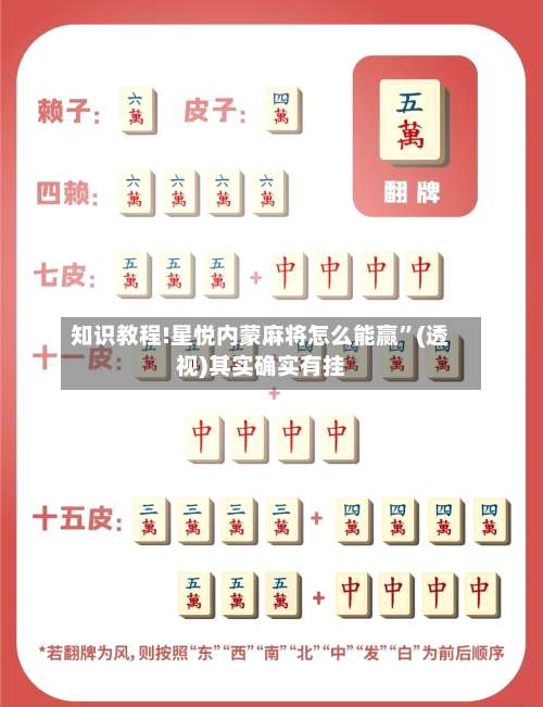 知识教程!星悦内蒙麻将怎么能赢”(透视)其实确实有挂-第2张图片