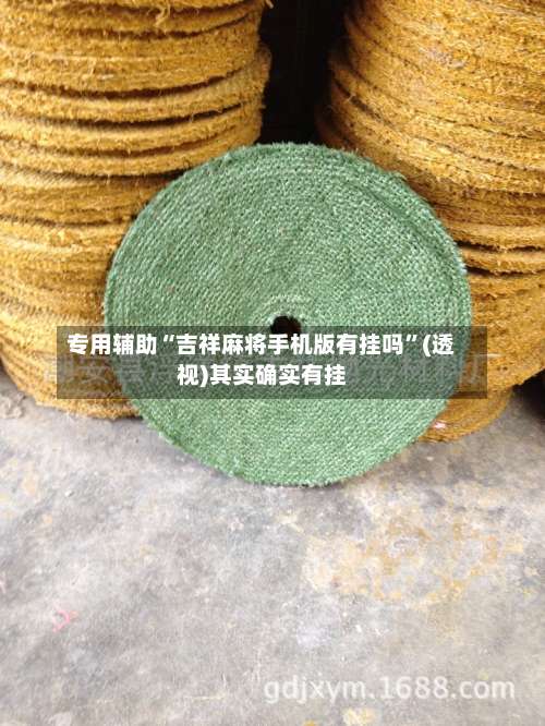 专用辅助“吉祥麻将手机版有挂吗”(透视)其实确实有挂-第2张图片