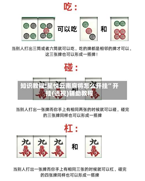 知识教程!星悦云南麻将怎么开挂	”开挂(透视)辅助教程-第1张图片