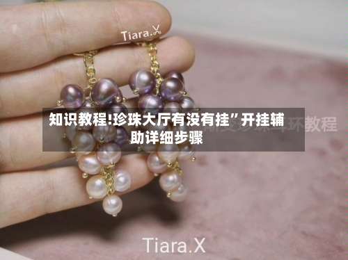 知识教程!珍珠大厅有没有挂	”开挂辅助详细步骤-第2张图片