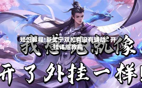 知识教程!新武宁双扣有没有辅助”开挂详细教程-第1张图片