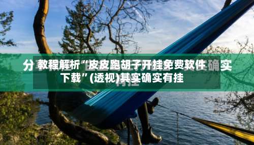 教程解析“皮皮跑胡子开挂免费软件下载	”(透视)其实确实有挂-第1张图片