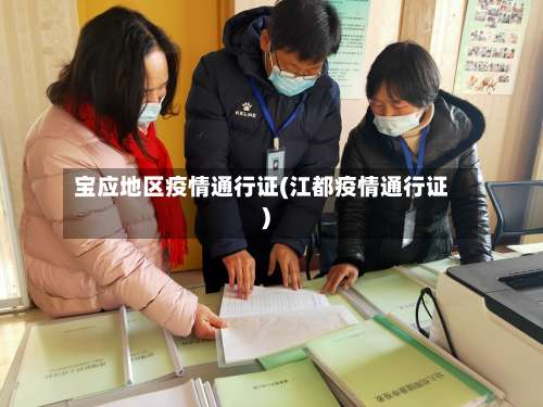 宝应地区疫情通行证(江都疫情通行证)-第2张图片