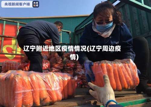 辽宁附近地区疫情情况(辽宁周边疫情)-第1张图片