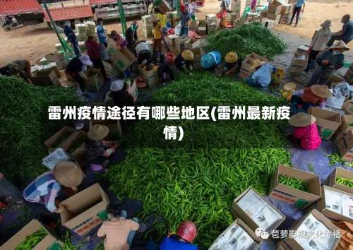 雷州疫情途径有哪些地区(雷州最新疫情)-第2张图片