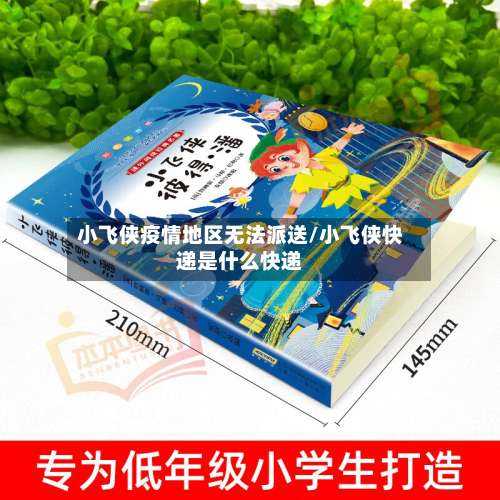 小飞侠疫情地区无法派送/小飞侠快递是什么快递-第1张图片