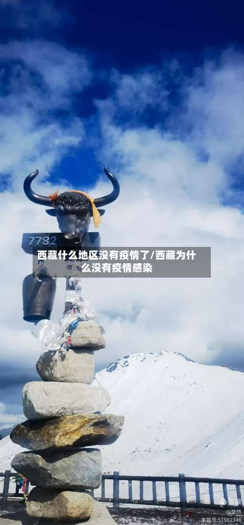 西藏什么地区没有疫情了/西藏为什么没有疫情感染-第1张图片