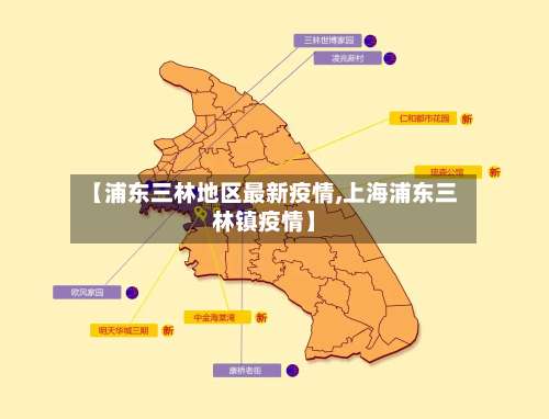【浦东三林地区最新疫情,上海浦东三林镇疫情】-第2张图片