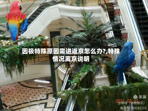 因极特殊原因需进返京怎么办?,特殊情况离京说明-第3张图片