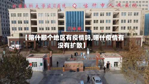 【喀什那个地区有疫情吗,喀什疫情有没有扩散】-第2张图片