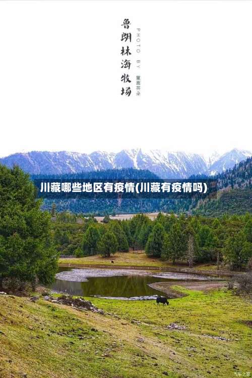 川藏哪些地区有疫情(川藏有疫情吗)-第1张图片