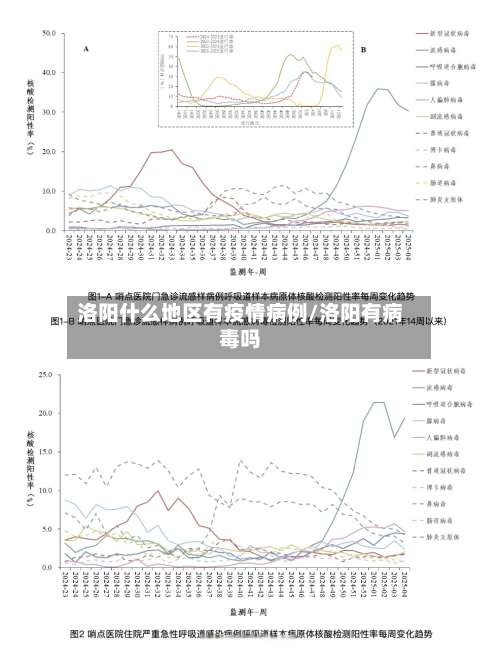 洛阳什么地区有疫情病例/洛阳有病毒吗-第2张图片