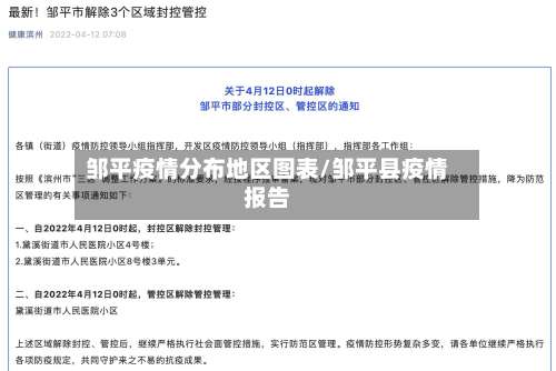 邹平疫情分布地区图表/邹平县疫情报告-第2张图片