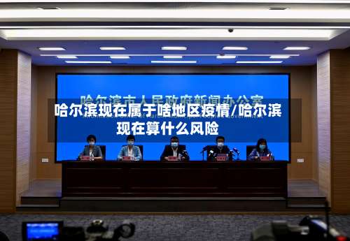 哈尔滨现在属于啥地区疫情/哈尔滨现在算什么风险-第1张图片