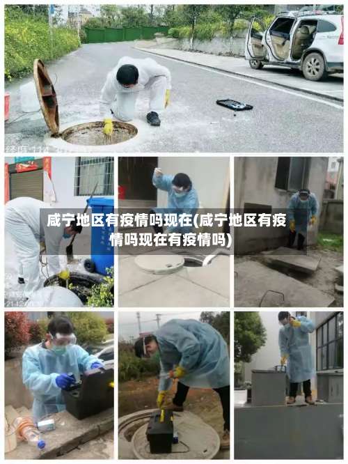 咸宁地区有疫情吗现在(咸宁地区有疫情吗现在有疫情吗)-第1张图片